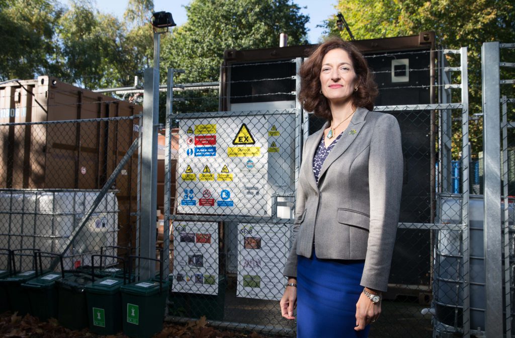 Sandra Sassow + Flexibuster