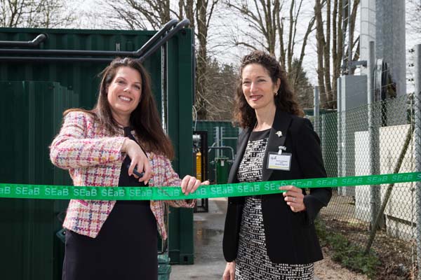 How Much Are Your Food Scraps Worth?